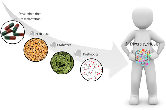 Un mayor conocimiento del microbioma ayudaría en la prevención de alergias y diabetes