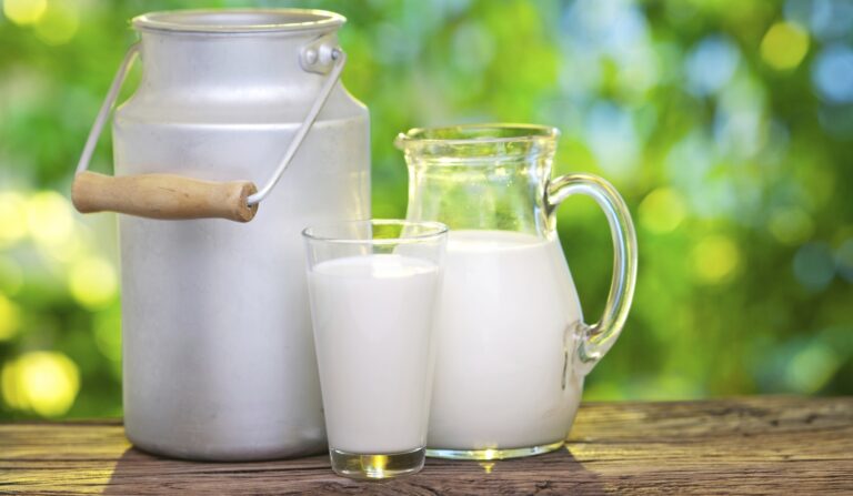 La leche entera: Ayuda contra la diabetes