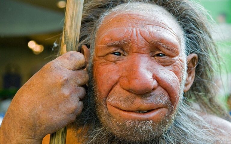 La diabetes, herencia de los Neandertales