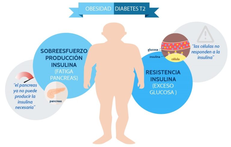 ¿Como el sobrepeso se convierte en diabetes?