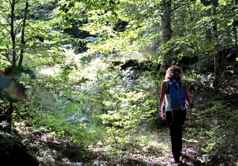 Estudio analiza el impacto de los baños de bosque en la salud de personas con diabetes