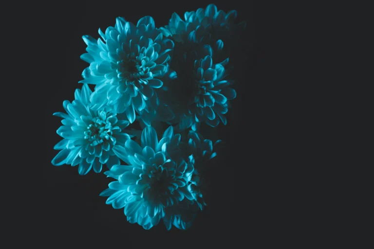 Viajar en avión con novopen