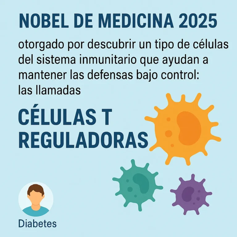 Premio Nobel de Medicina: Células T reguladoras, o Tregs ¿Cómo te puede ayudar si tienes diabetes?