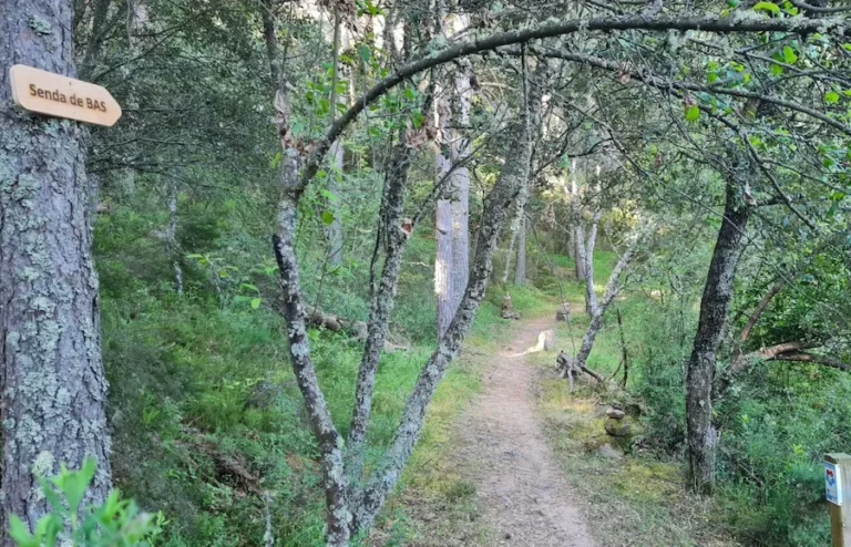 Camino para cambiar la Diabetes 2026