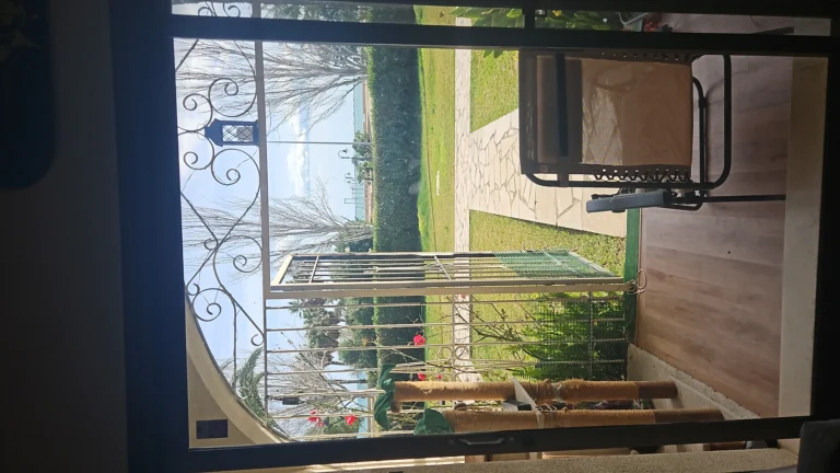 No elegí la diabetes