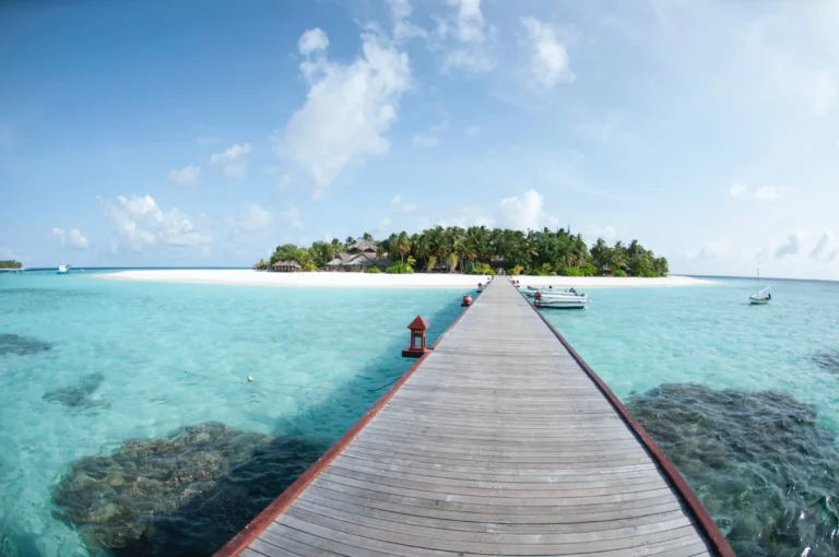 Freestyle libre 2 muchísimo problema